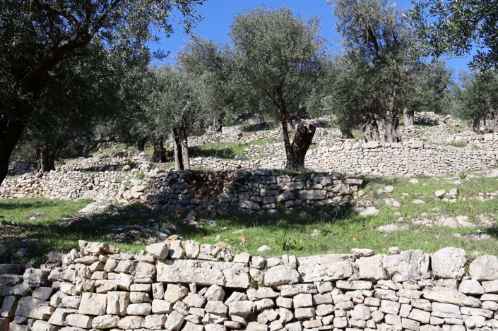 Image No.7-Terre à vendre à Corfou