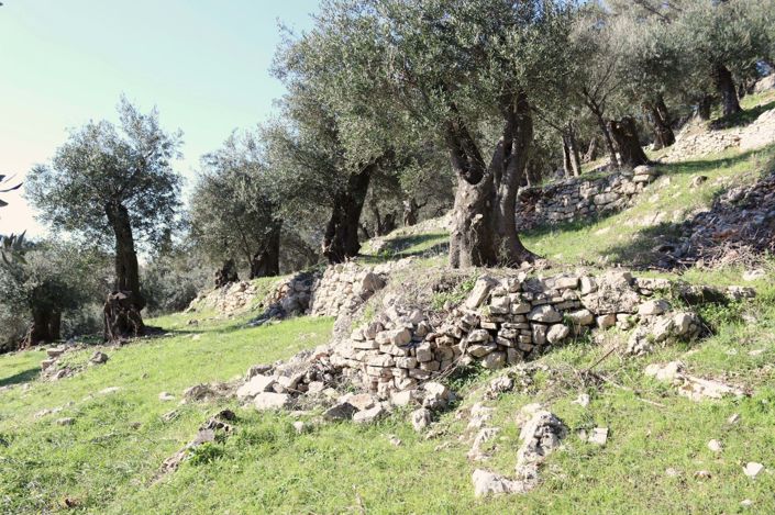 Image No.8-Terre à vendre à Corfou