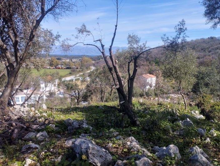 Image No.2-Terre à vendre à Corfou