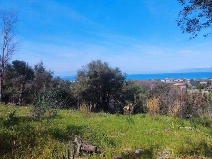 Image No.3-Terre à vendre à Corfou