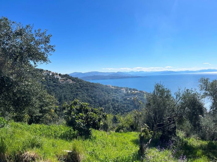 Image No.2-Terre à vendre à Corfou