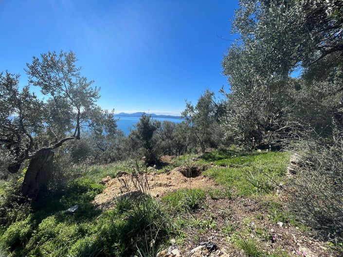 Image No.3-Terre à vendre à Corfou