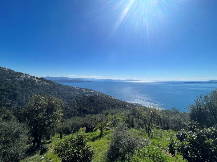 Image No.6-Terre à vendre à Corfou