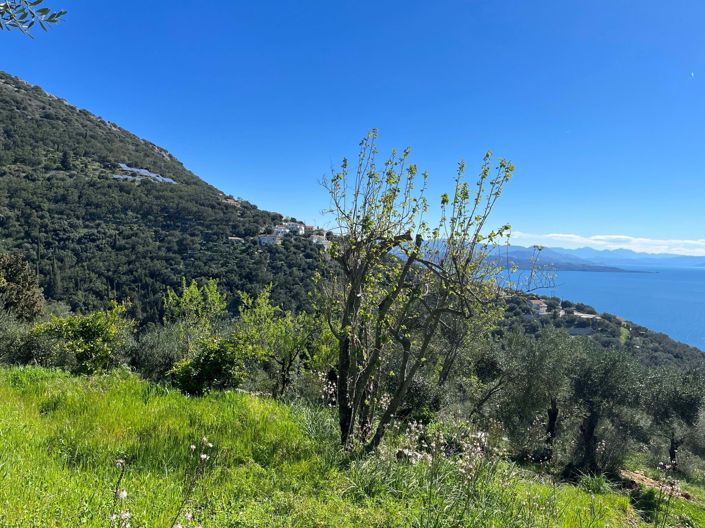 Image No.8-Terre à vendre à Corfou
