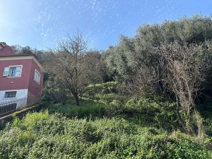 Image No.14-4 Bed House for sale