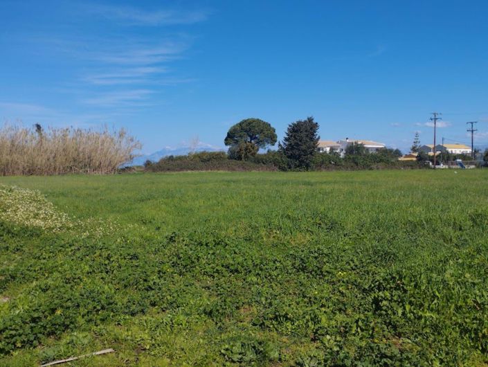 Image No.4-Terre à vendre à Corfou