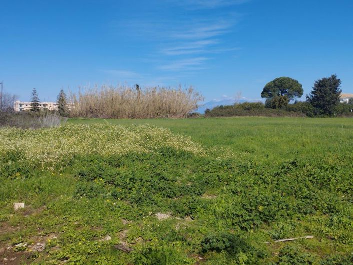 Image No.6-Terre à vendre à Corfou