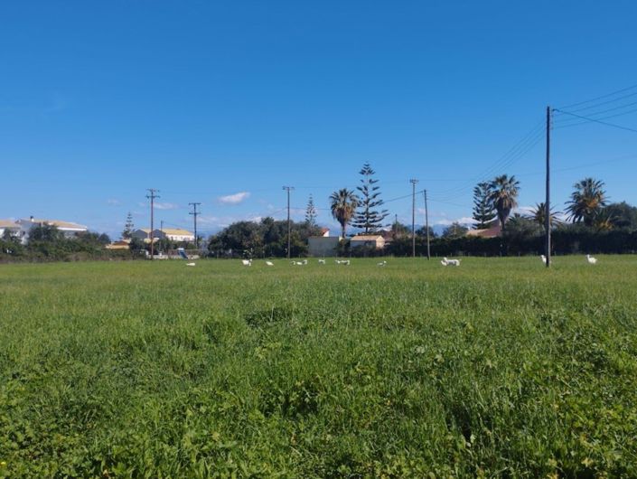 Image No.7-Terre à vendre à Corfou