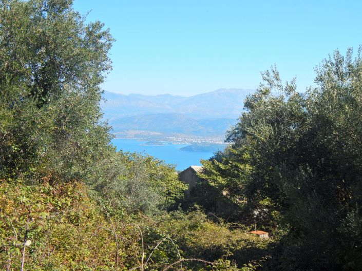 Image No.2-Terre à vendre à Corfou