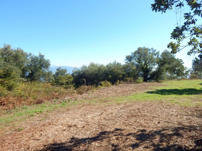 Image No.3-Terre à vendre à Corfou