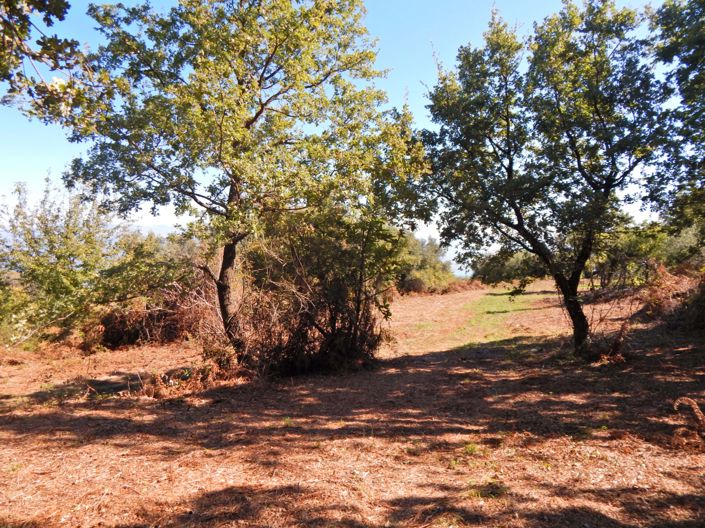 Image No.4-Terre à vendre à Corfou