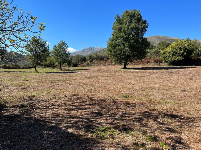 Image No.5-Terre à vendre à Corfou