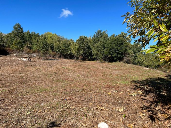 Image No.6-Terre à vendre à Corfou