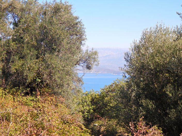 Image No.8-Terre à vendre à Corfou