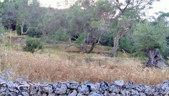 Image No.4-Land for sale