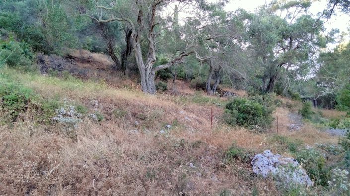 Image No.5-Land for sale