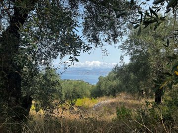 b0417d24-0af5-4bea-bbac-8519791084ba