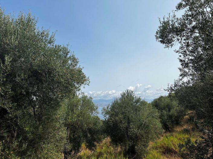 Image No.2-Terre à vendre à Kassiopi