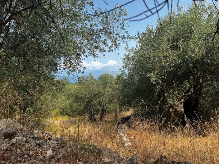Image No.3-Terre à vendre à Kassiopi