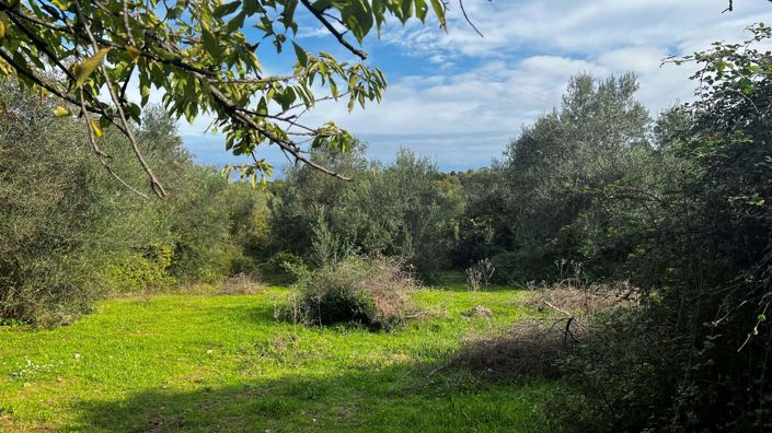 Image No.2-Terre à vendre à Corfou