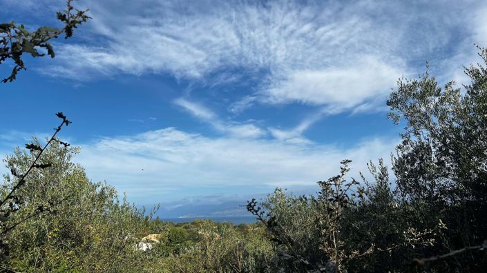 Image No.3-Terre à vendre à Corfou