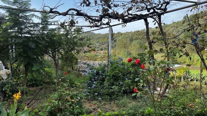 Image No.11-Maison de 3 chambres à vendre à Corfou