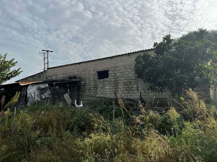 Image No.13-Maison de 3 chambres à vendre à Corfou
