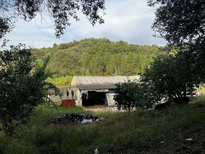 Image No.8-Maison de 3 chambres à vendre à Corfou