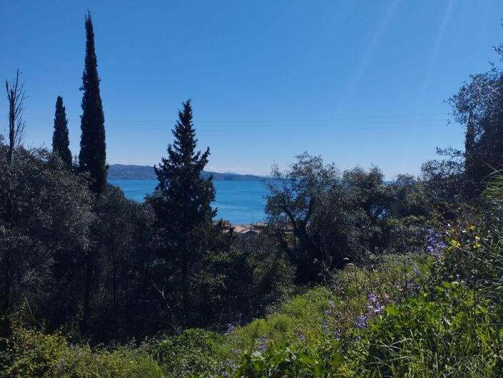 Image No.3-Terre à vendre à Kalámi