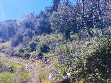 670f9112-1cb5-4249-a889-1f136e50f771