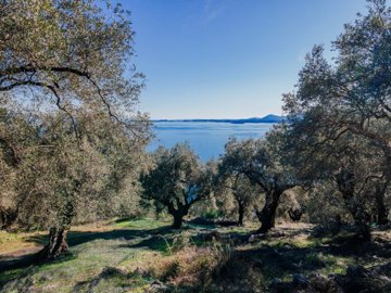 dade340e-037f-40e9-9fc1-99728af048d0