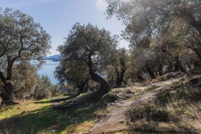 e0ac91e2-a62b-4d2d-adc6-78846245d255