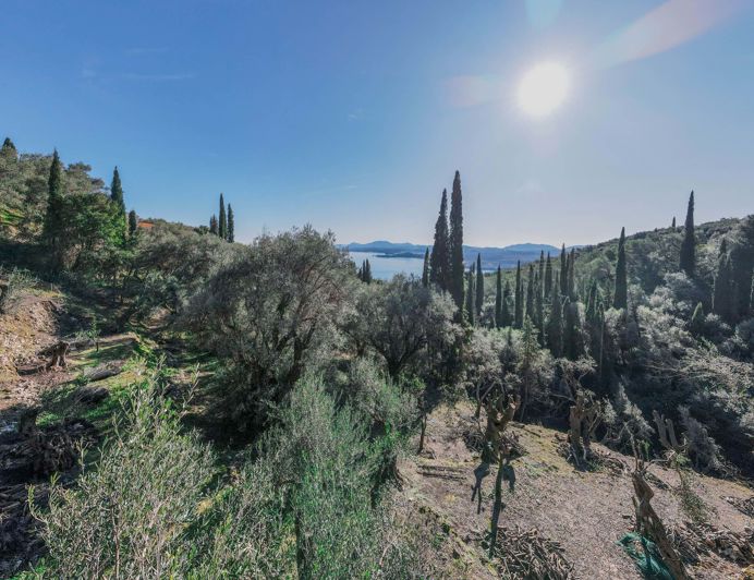 Image No.3-Terre à vendre à Spartilas