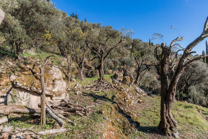 Image No.4-Terre à vendre à Spartilas