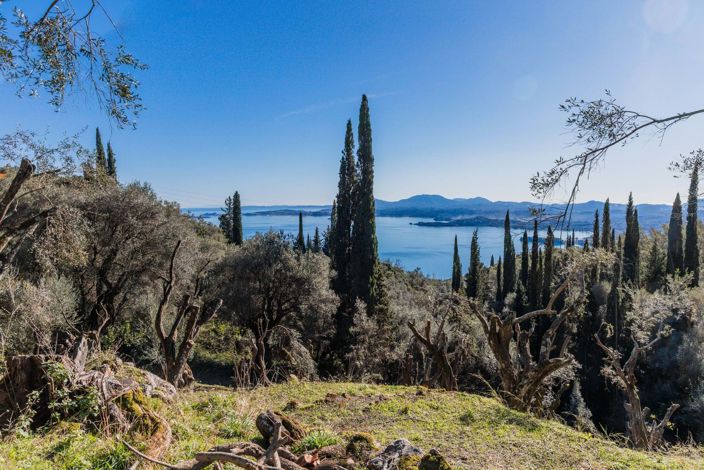 Image No.5-Terre à vendre à Spartilas