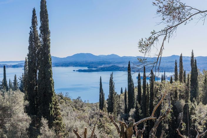 Image No.6-Terre à vendre à Spartilas