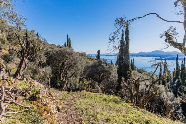 Image No.7-Terre à vendre à Spartilas