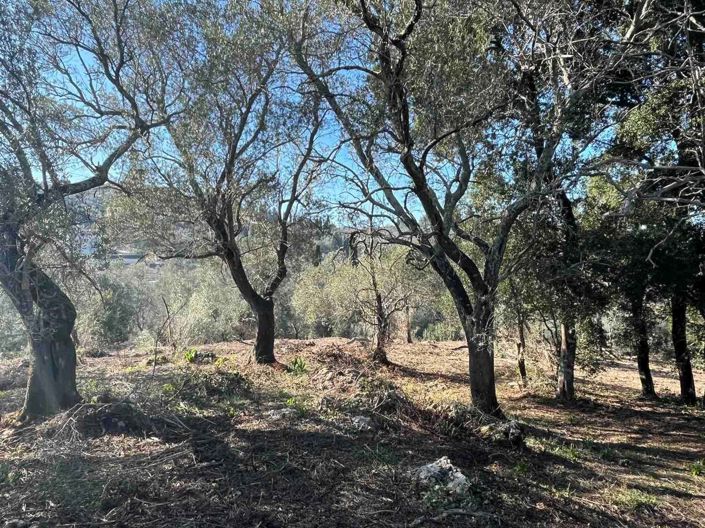 Image No.3-Terre à vendre à Gouvia