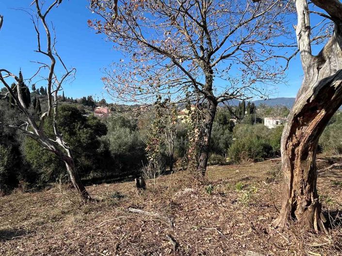 Image No.4-Terre à vendre à Gouvia