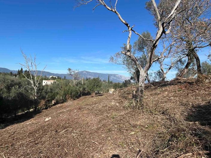 Image No.5-Terre à vendre à Gouvia