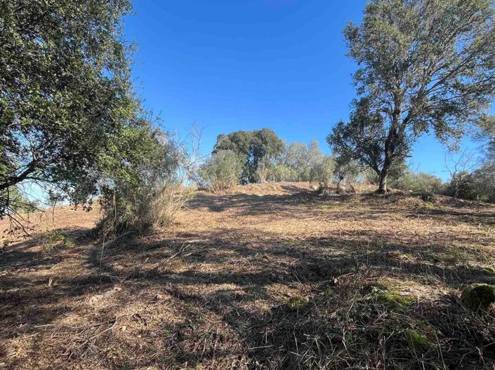 Image No.6-Terre à vendre à Gouvia