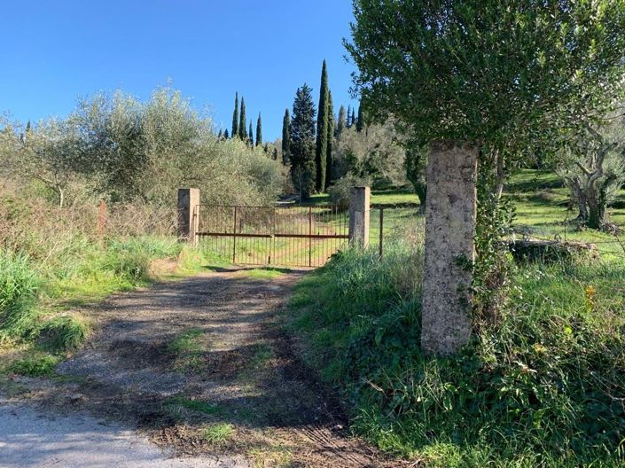 Image No.2-Terre à vendre à Ano Korakiana