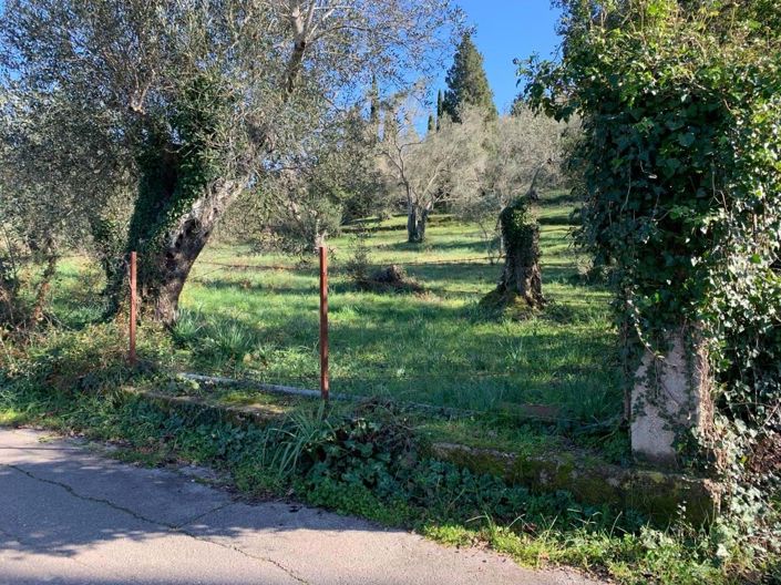 Image No.3-Terre à vendre à Ano Korakiana