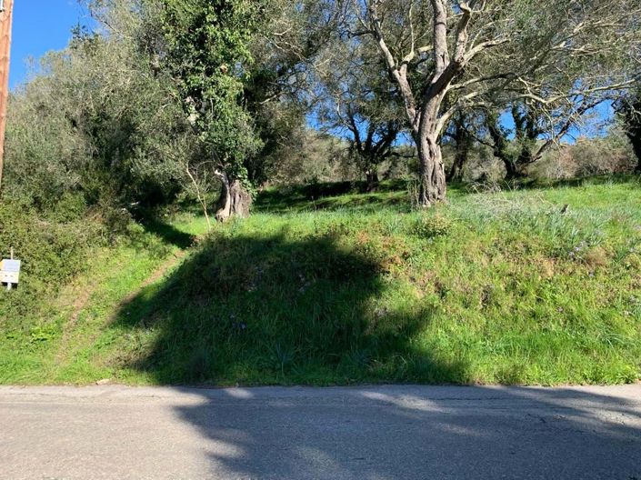 Image No.7-Terre à vendre à Ano Korakiana