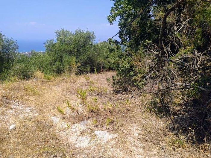 Image No.6-Terre à vendre à Corfou