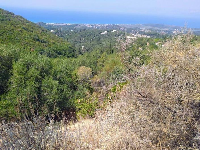 Image No.7-Terre à vendre à Corfou