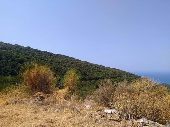Image No.9-Terre à vendre à Corfou