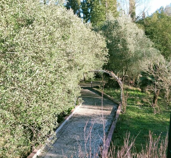 Image No.13-Maison de 2 chambres à vendre à Corfou