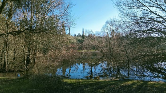 Image No.4-Maison de 2 chambres à vendre à Corfou