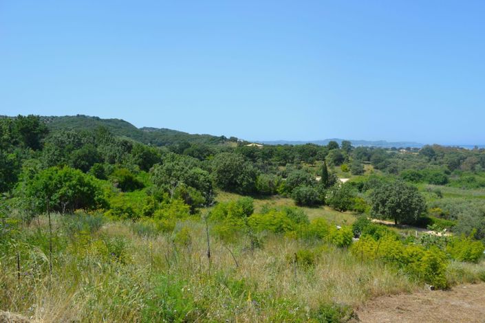 Image No.4-Terre à vendre à Corfou